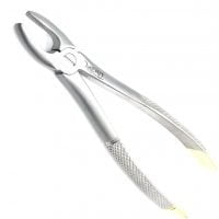 Extraction Forcep #1 English Pattern