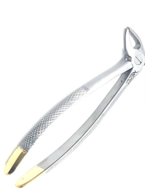 Extraction Forcep #13 English Pattern Gold