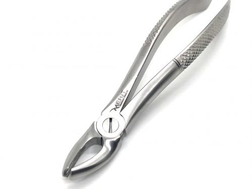Extraction Forcep #18 English Pattern