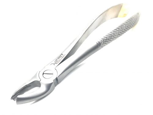 Extraction Forcep #18 English Pattern Gold