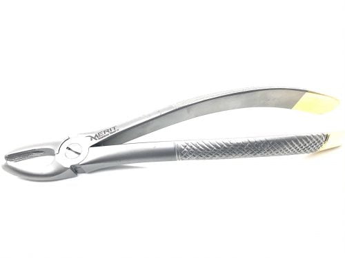Extraction forcep #7 English Pattern 1 gold