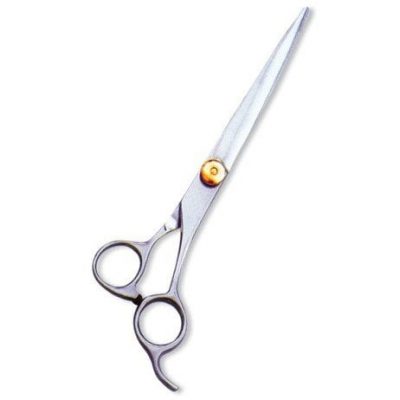 Professional Hairdressing Scissors Mirror Finish with Blue shimmer Rings