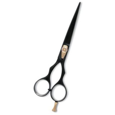 Professional Hairdressing Scissors black