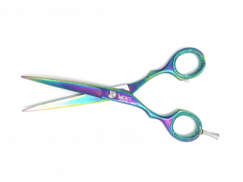 Hair-Dressing-Scissors-5.5-1