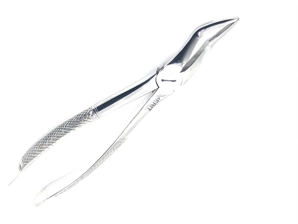 Extraction Forcep 51A English Pattern Mirror Finish