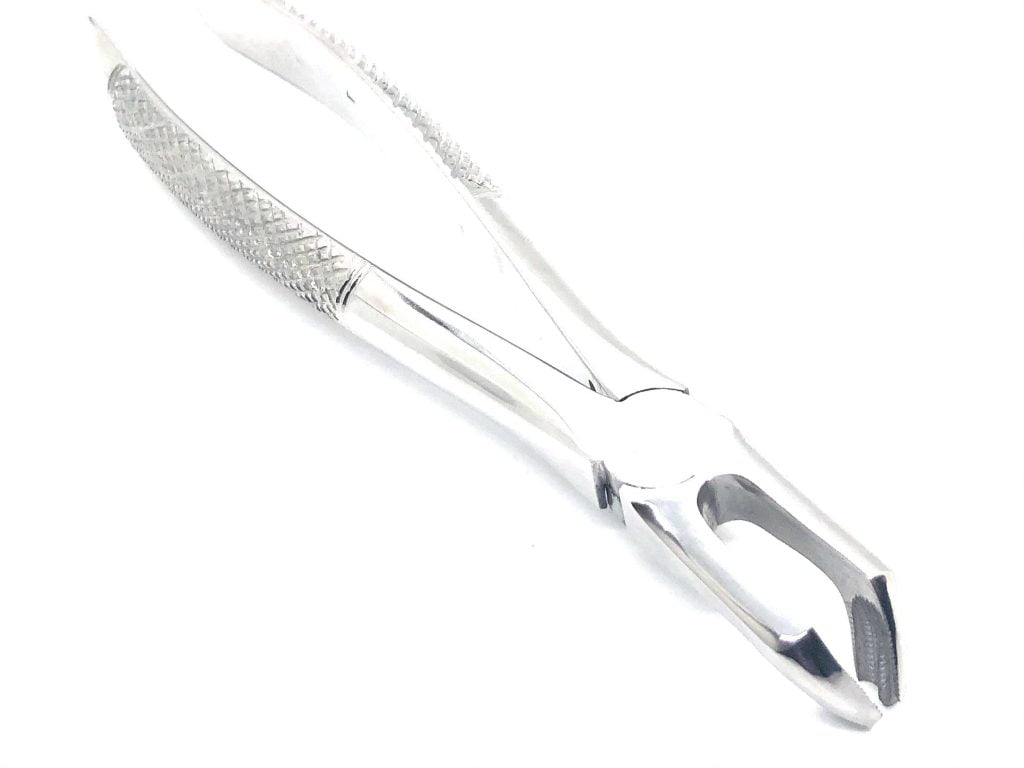 Extraction Forcep 51A English Pattern Mirror Finish 2
